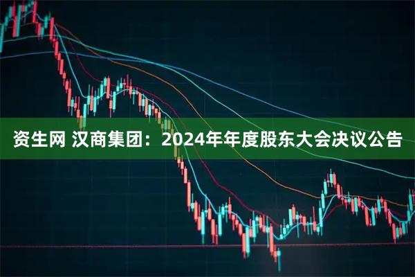 资生网 汉商集团：2024年年度股东大会决议公告