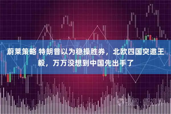 蔚莱策略 特朗普以为稳操胜券，北欧四国突邀王毅，万万没想到中国先出手了